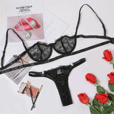 Lace Transparent Bra Set