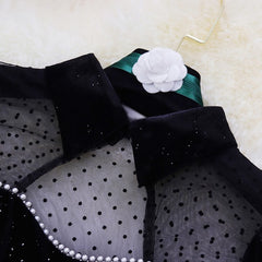 Sequins Velvet Elegant Dress