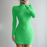 High Neck Long Sleeve Mini Dress