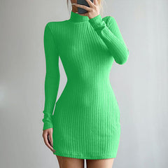 High Neck Long Sleeve Mini Dress