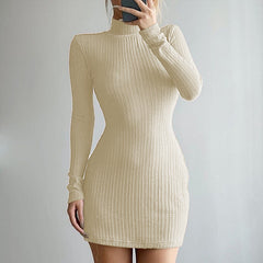 High Neck Long Sleeve Mini Dress