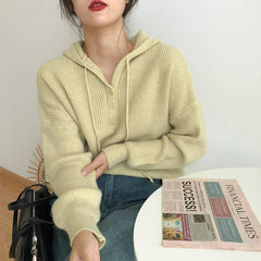 Simple Hooded Pullover Knit Sweater