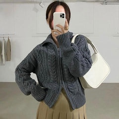 Aesthetic Cable Knit Zip Up Cardigan