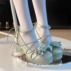 Bow Elegant Heels Shoes