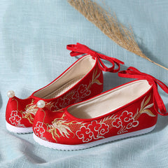 Cloud Loong Embroidered Shoes