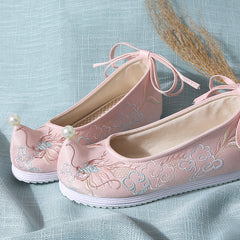 Cloud Loong Embroidered Shoes