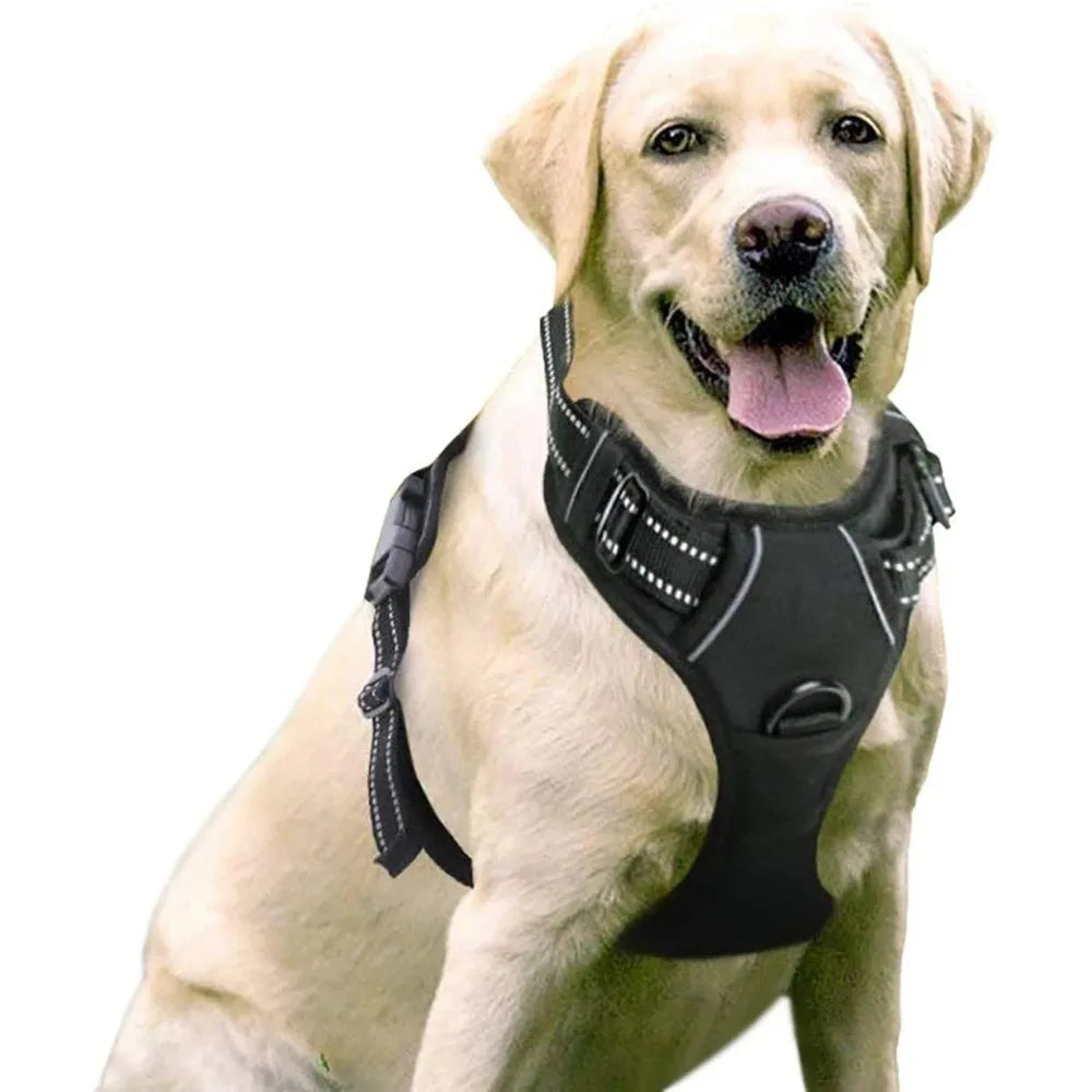 Adjustable Chest Strap Padd Metal Top
