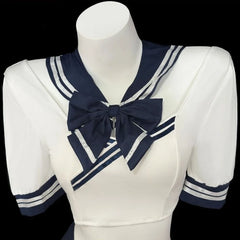 College Style Sister School Cosplay Student Lingerie Perspective Mini Skirt School Temptation
