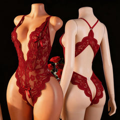 Transparent Lingerie