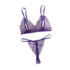 Lace Underwear Two Pieces