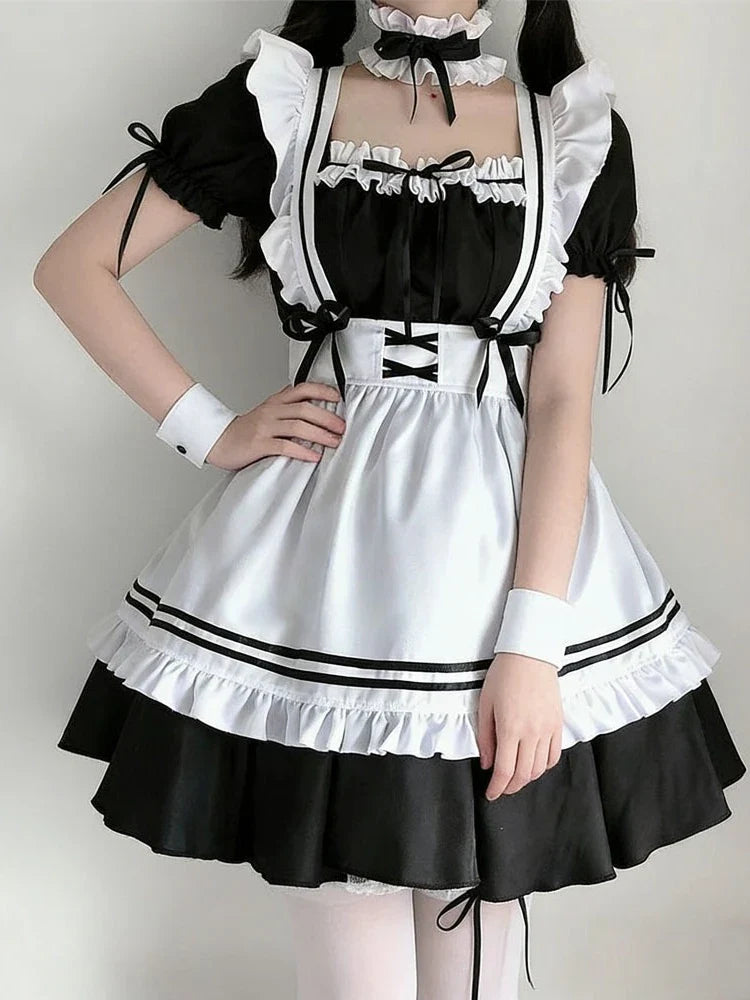 School Traditional Design Great