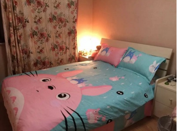 Cute Totoro Bed Sheet Set