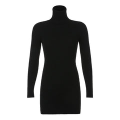 High Neck Long Sleeve Hip Dress