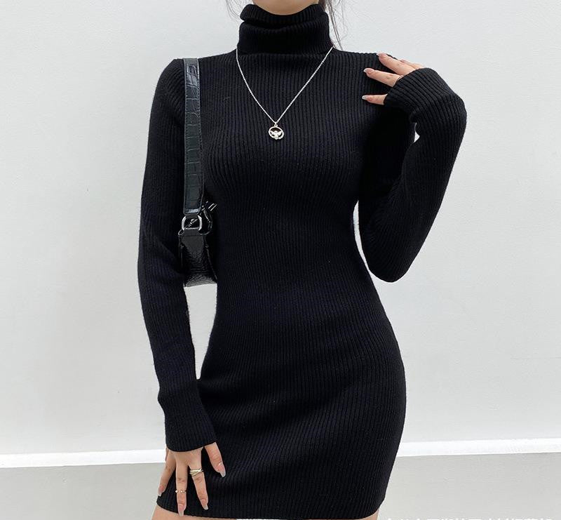 High Neck Long Sleeve Hip Dress